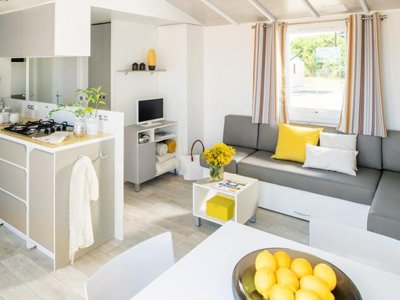 Cliquez pour découvrir toutes les photos de l'HÉBERGEMENT ! mobil-home - Le Moulin photo 3