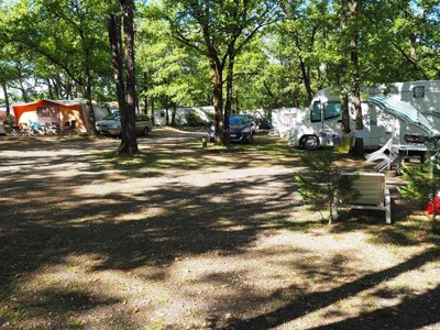 Cliquez pour découvrir toutes les photos de l'ÉTABLISSEMENT ! camping Le Picouty photo 30