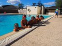 Cliquez pour découvrir toutes les photos de l'ÉTABLISSEMENT ! camping Le Picouty photo 4