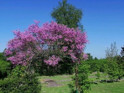 Cliquez pour découvrir toutes les photos de l'ÉTABLISSEMENT ! camping Sites Et Paysages - De La Baie photo 17