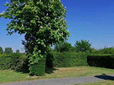 Cliquez pour découvrir toutes les photos de l'ÉTABLISSEMENT ! camping Sites Et Paysages - De La Baie photo 22
