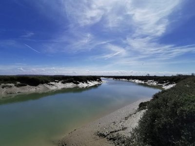 Cliquez pour découvrir toutes les photos de l'ÉTABLISSEMENT ! camping Sites Et Paysages - De La Baie photo 24