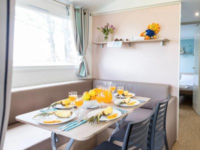 Cliquez pour découvrir toutes les photos de l'HÉBERGEMENT ! mobil-home - FLOWER Le Port De La Chaîne photo 2