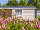 Cliquez pour découvrir toutes les photos de l'HÉBERGEMENT ! mobil-home - camping Baie De Terenez photo 4