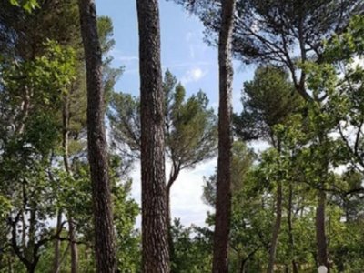 Cliquez pour découvrir toutes les photos de l'HÉBERGEMENT ! mobil-home - Le Devancon photo 7