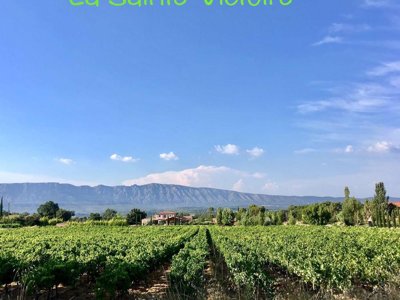 Cliquez pour découvrir toutes les photos de l'ÉTABLISSEMENT ! camping Le Devancon photo 27