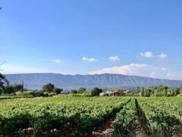 Camping Pas Cher vous présente avec son site Officiel campingpascher.fr, le Camping Le Devancon classé 3 étoiles, situé sur la commune de Peynier dans le département Bouches-du-rhône (Provence Alpes Côte D'azur) en France. Le camping Le Devancon, vous présente un hébergement de type mobil-home de 21 m². Le camping Le Devancon vous propose du lundi 20 avril au lundi 27 avril 2026 pour 7 nuits à 530€. Cette location propose 119 dates différentes pour réserver votre séjour. Découvrez également les 10 autres gammes d'hébergements du camping. Les Avis clients pour le Camping Le Devancon sont excellents avec une note moyenne de 9 sur 10. Mer, Piscine extérieure, Aire de jeux enfants, Centre équestre, Court de padel en extérieur, Cyclisme, Escalade, Jet-ski, Location de bateaux, Ping-pong, Plongée, Pétanque, Randonnée, Skatepark, Sports nautiques, Terrain de football,... En savoir plus : cliquez-ICI.