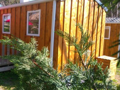 Cliquez pour découvrir toutes les photos de l'HÉBERGEMENT ! mobil-home - Les Cigales photo 2