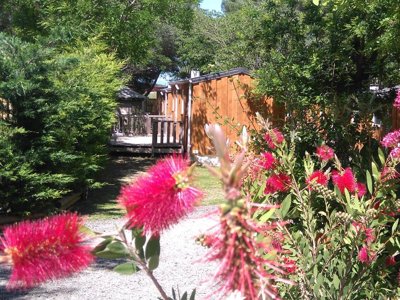Cliquez pour découvrir toutes les photos de l'HÉBERGEMENT ! mobil-home - Les Cigales photo 3