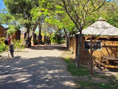 Cliquez pour découvrir toutes les photos de l'ÉTABLISSEMENT ! camping Les Cigales photo 17