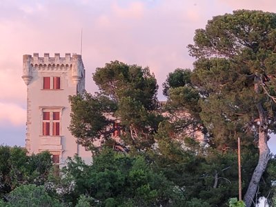 Cliquez pour découvrir toutes les photos de l'ÉTABLISSEMENT ! camping Les Cigales photo 8