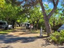 Cliquez pour découvrir toutes les photos de l'ÉTABLISSEMENT ! camping Les Cigales photo 10