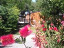 Cliquez pour découvrir toutes les photos de l'HÉBERGEMENT ! mobil-home - camping Les Cigales photo 3