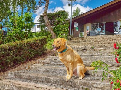 Cliquez pour découvrir toutes les photos de l'ÉTABLISSEMENT ! établissement Les Terrasses Du Lac photo 29