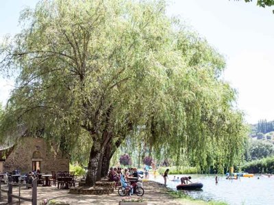 camping Domaine Du Lac photo 19