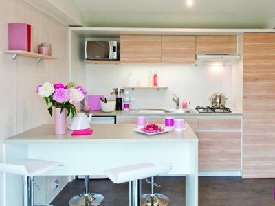 Cliquez pour découvrir toutes les photos de l'HÉBERGEMENT ! mobil-home - Flower La Grande Plage photo 2