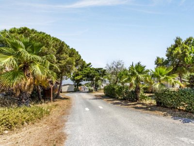 Cliquez pour découvrir toutes les photos de l'ÉTABLISSEMENT ! établissement Cap Du Roc photo 13