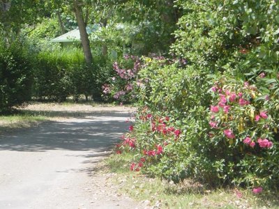 Cliquez pour découvrir toutes les photos de l'ÉTABLISSEMENT ! camping Benista photo 23