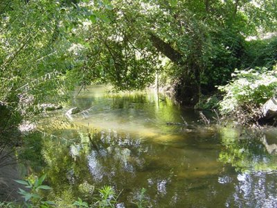 Cliquez pour découvrir toutes les photos de l'ÉTABLISSEMENT ! camping Benista photo 26