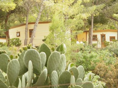 mobil-home - Rais Gerbi photo 8