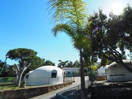 Camping Pas Cher vous présente avec son site Officiel campingpascher.fr, le Camping Rais Gerbi classé 4 étoiles, situé sur la commune de Pollina dans le département Palerme (Sicile) en Italie. Le camping Rais Gerbi, vous présente un hébergement de type bungalow de 25 m² pour 4 personnes avec climatisation. Le camping Rais Gerbi vous propose du vendredi 20 mars au vendredi 27 mars 2026 pour 7 nuits à 415€. Cette location propose 220 dates différentes pour réserver votre séjour. Découvrez également les 4 autres gammes d'hébergements du camping. Les Avis clients pour le Camping Rais Gerbi sont excellents avec une note moyenne de 8 sur 10. MerRivière, Piscine extérieure, Aire de jeux enfants, Canoë-kayak, Court de tennis, Ping-pong, Planche à voile, Plongée, Randonnée, Structure gonflable enfants, Terrain de football, Boulangerie, Bureau de tabac, Pizzeria, Restaurant, Station-service, Supermarché, Épicerie,... En savoir plus : cliquez-ICI.