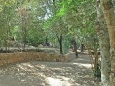 camping Pitrera Village photo 10