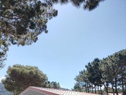 Camping Pas Cher vous présente avec son site Officiel campingpascher.fr, le Camping Tikiti classé 3 étoiles, situé sur la commune de Propriano dans le département Corse Du Sud (Corse) en France. Le camping Tikiti, vous présente un hébergement de type chalet de 24 m² pour 2 personnes avec climatisation. Le camping Tikiti vous propose du jeudi 30 avril au jeudi 07 mai 2026, en promotion à -7% pour 7 nuits à 357,50 € au lieu de 384,5 € soit une Économie de 27 €. Cette location propose 150 dates différentes pour réserver votre séjour. Découvrez également les 3 autres gammes d'hébergements du camping. Les Avis clients pour le Camping Tikiti sont excellents avec une note moyenne de 8 sur 10. Piscine extérieure, Aire de jeux enfants, Baby-foot, Parcours sportif, Dépôt de pain, Snack/Bar, Épicerie,... En savoir plus : cliquez-ICI.