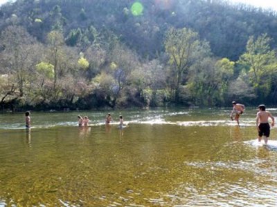Cliquez pour découvrir toutes les photos de l'ÉTABLISSEMENT ! camping Les Vignes photo 14