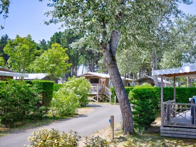 Cliquez pour découvrir toutes les photos de l'ÉTABLISSEMENT ! camping Flower Le Bois D'Amour photo 21