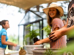 Camping Pas Cher vous présente avec son site Officiel campingpascher.fr, le Camping SUNELIA Les Sablons classé 5 étoiles, situé sur la commune de Portiragnes Plage dans le département Hérault (Languedoc Roussillon) en France. Le camping SUNELIA Les Sablons vous propose un hébergement de type tente en toile et bois de 35 m² pour 2 personnes. L'établissement vous propose 28 autres types d'hébergements. Découvrez tous nos séjours à petits prix dans la commune et aux alentours de Portiragnes Plage du département : Hérault (Languedoc Roussillon). Les Avis clients pour le Camping SUNELIA Les Sablons sont excellents avec une note moyenne de 8 sur 10. Mer, Parc aquatique, Piscine couverte, Piscine extérieure, Animations familiales, Club ados, Club enfants, Aire de jeux enfants, Canoë-kayak, Centre équestre, Court de tennis, Jet-ski, Location de bateaux, Pétanque, Randonnée, Salle de fitness, Skatepark, Terrain de basketball, Terrain de football, Terrain de volley-ball, Tir à l’arc, Bar, Boulangerie, Dépôt de pain, Restaurant, Snack/Bar, Épicerie,... En savoir plus : cliquez-ICI.