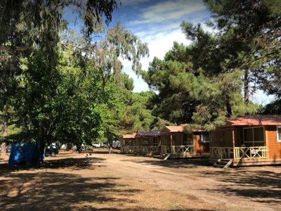 Cliquez pour découvrir toutes les photos de l'ÉTABLISSEMENT ! camping L'Oso photo 4