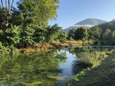 Cliquez pour découvrir toutes les photos de l'ÉTABLISSEMENT ! camping La Bernede photo 12
