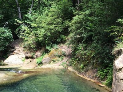 Cliquez pour découvrir toutes les photos de l'ÉTABLISSEMENT ! camping La Bernede photo 13