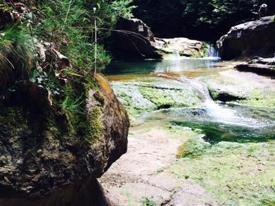 Cliquez pour découvrir toutes les photos de l'ÉTABLISSEMENT ! camping La Bernede photo 19