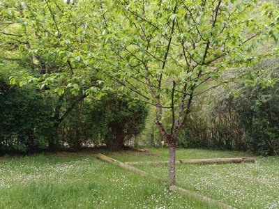 Cliquez pour découvrir toutes les photos de l'ÉTABLISSEMENT ! camping La Bernede photo 22