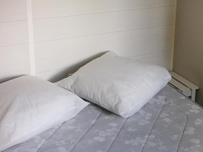 mobil-home - Domaine Du Lac De Néguenou photo 7