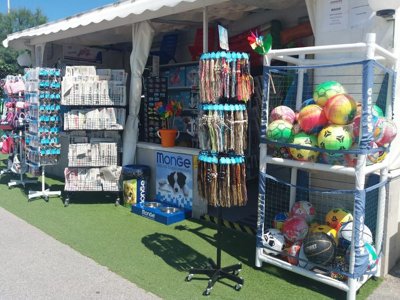 Cliquez pour découvrir toutes les photos de l'ÉTABLISSEMENT ! établissement International Riccione photo 14
