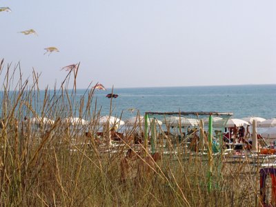 Cliquez pour découvrir toutes les photos de l'ÉTABLISSEMENT ! camping Principina photo 7