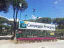 Camping Pas Cher vous présente avec son site Officiel campingpascher.fr, le Camping Principina classé 2 étoiles, situé sur la commune de Principina A Mare dans le département Grosseto (Toscane) en Italie. Le camping Principina vous propose un hébergement de type tente en toile et bois de 23 m². L'établissement vous propose 5 autres types d'hébergements. Découvrez tous nos séjours à petits prix dans la commune et aux alentours de Principina A Mare du département : Grosseto (Toscane). Les Avis clients pour le Camping Principina sont excellents avec une note moyenne de 8 sur 10. Animations familiales, Club ados, Club enfants, Aire de jeux enfants, Cyclisme, Pétanque, Randonnée, Terrain multisports, Bar, Boulangerie, Bureau de tabac, Restaurant, Station-service, Supermarché, Épicerie,... En savoir plus : cliquez-ICI.