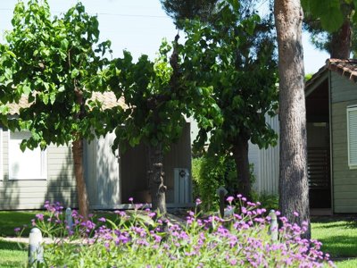 Cliquez pour découvrir toutes les photos de l'ÉTABLISSEMENT ! camping Stel - Roda De Bara photo 16