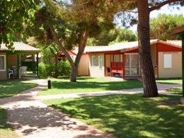 Camping Pas Cher vous présente avec son site Officiel campingpascher.fr, le Camping Stel - Roda De Bara classé 4 étoiles, situé sur la commune de Roda De Bara dans le département Tarragone (Catalogne) en Espagne. Le camping Stel - Roda De Bara, vous présente un hébergement de type bungalow de 35 m² pour 2 personnes et télévision. Le camping Stel - Roda De Bara vous propose du jeudi 26 mars au jeudi 02 avril 2026 pour 7 nuits à 546€. Cette location propose 66 dates différentes pour réserver votre séjour. Découvrez également les 3 autres gammes d'hébergements du camping. Les Avis clients pour le Camping Stel - Roda De Bara sont excellents avec une note moyenne de 8 sur 10. Piscine extérieure, Animations familiales, Club ados, Club enfants, Aire de jeux enfants, Court de tennis, Golf, Ping-pong, Pétanque, Salle de fitness, Terrain de football, Terrain multisports, Bar, Boulangerie, Pizzeria, Plats à emporter, Restaurant, Épicerie,... En savoir plus : cliquez-ICI.