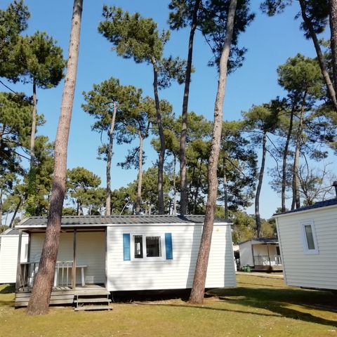 mobilhome - Village Vacances Sous Les Pins photo 1