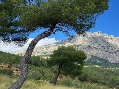 camping Le Cézanne photo 1