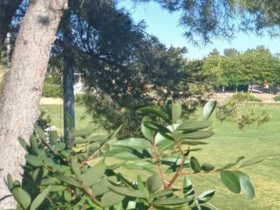 Cliquez pour découvrir toutes les photos de l'ÉTABLISSEMENT ! camping Le Cézanne photo 12