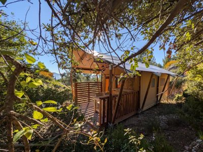 lodge - Le Cézanne photo 3