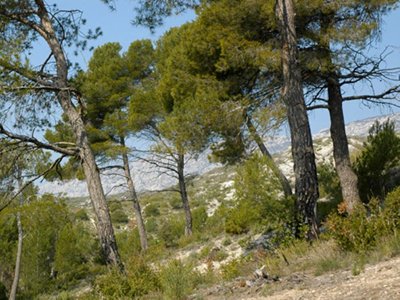 Cliquez pour découvrir toutes les photos de l'ÉTABLISSEMENT ! camping Le Cézanne photo 4