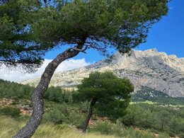 Camping Pas Cher vous présente avec son site Officiel campingpascher.fr, le Camping Le Cézanne classé 2 étoiles, situé sur la commune de Puyloubier dans le département Bouches-du-rhône (Provence Alpes Côte D'azur) en France. Le camping Le Cézanne, vous présente un hébergement de type mobil-home de 27 m² avec climatisation. Le camping Le Cézanne vous propose du dimanche 28 juin au dimanche 05 juillet 2026 pour 7 nuits à 669€. Cette location propose 113 dates différentes pour réserver votre séjour. Découvrez également les 4 autres gammes d'hébergements du camping. Les Avis clients pour le Camping Le Cézanne sont excellents avec une note moyenne de 10 sur 10. Aire de jeux enfants, Court de tennis, Pétanque, Randonnée, Terrain de football, Dépôt de pain, Épicerie,... En savoir plus : cliquez-ICI.