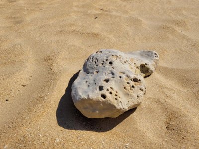 camping Le Merval photo 11