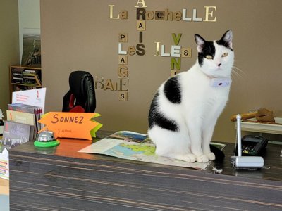 camping Le Merval photo 13