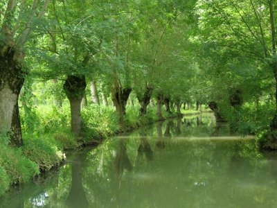 camping Le Merval photo 21